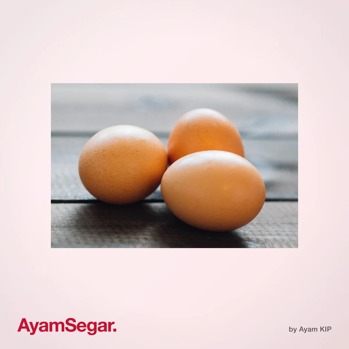 Telur ayam gred A segar dari ladang